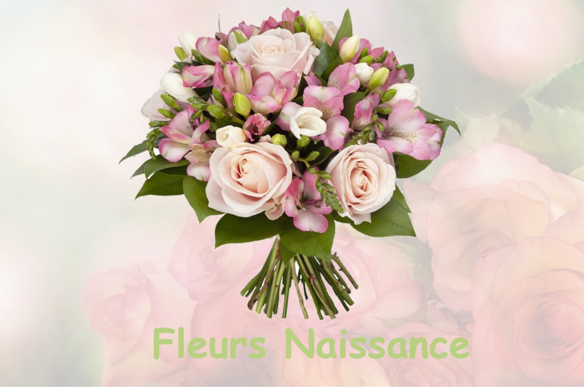 fleurs naissance PISIEU