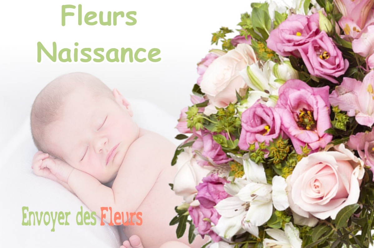 lIVRAISON FLEURS NAISSANCE à PISIEU